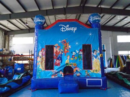 Castillo Inflable Pequeño
